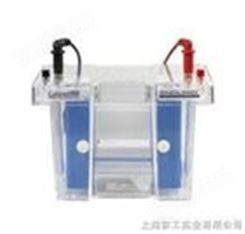Enduro垂直電泳系統