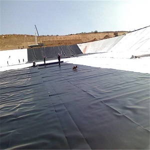 防滲膜室外魚池(防滲膜魚池：池塘建設全攻略)